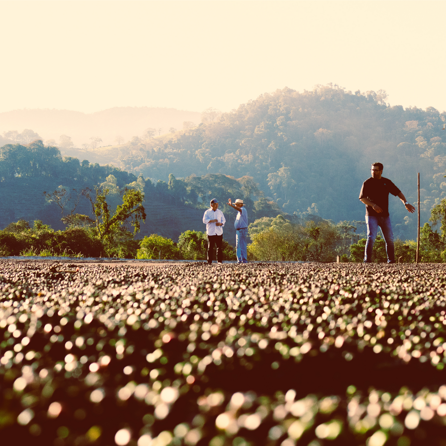 MONTES DE MANTIQUEIRA Brasil